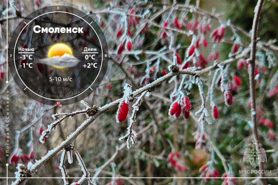 "Бегут последние осенние деньки"