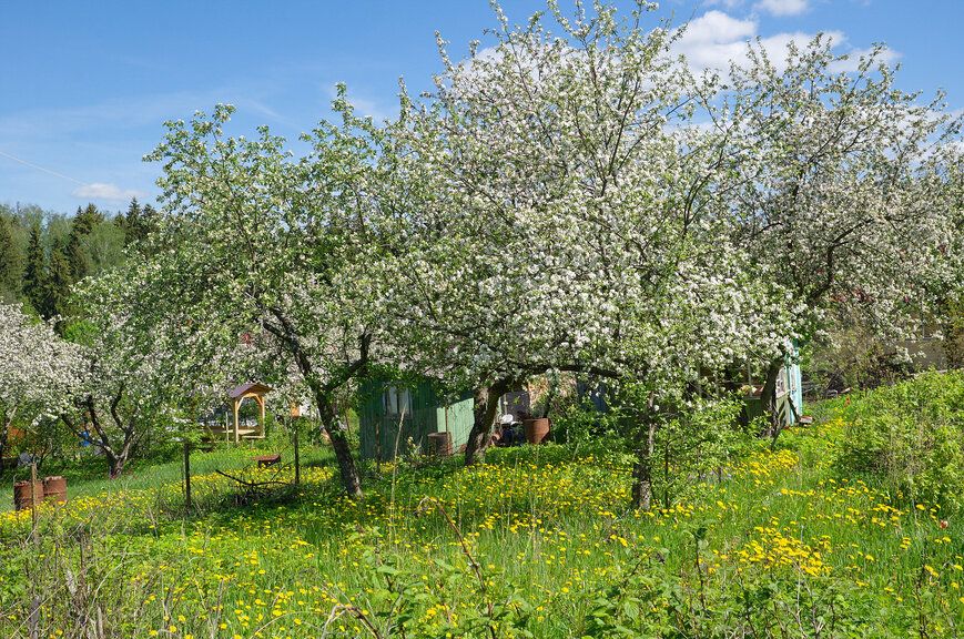 Новая жизнь старого сада: стоит ли расставаться с историями?