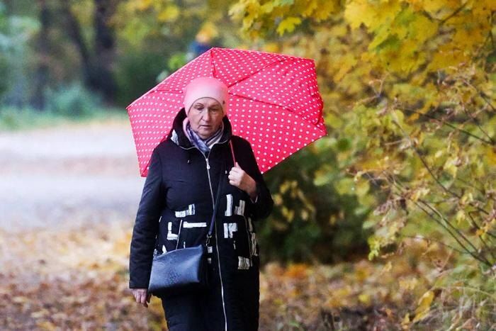 Дополнительные выплаты к пенсиям с 1 ноября: кто сможет рассчитывать на прибавку?