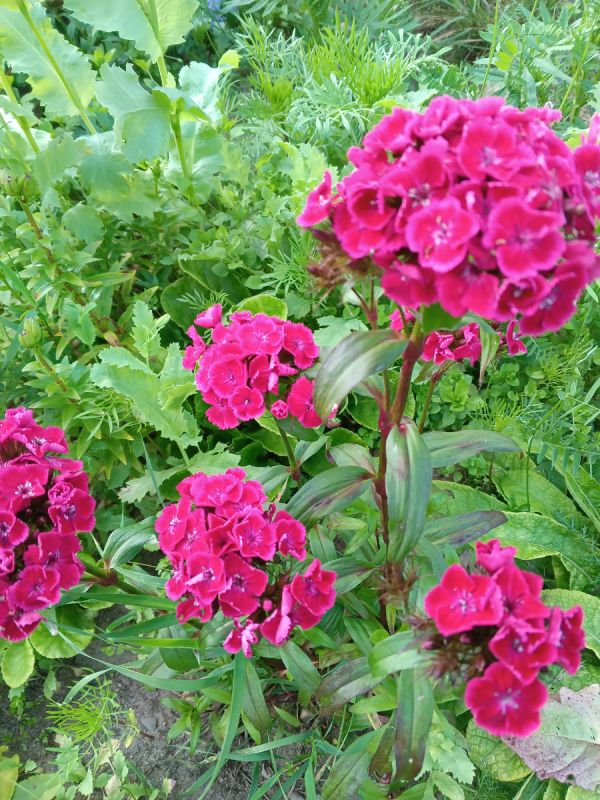 Цинизм успеха: как косметологи унижают тех, кто прошёл через трудности жизни