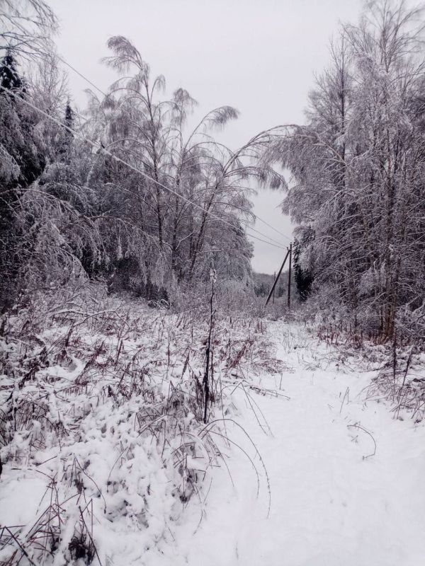 Более 340 энергетиков в круглосуточном режиме продолжают устранять последствия непогоды в Смоленской области Более 340 энергетиков в круглосуточном режиме продолжают устранять последствия непогоды в Смоленской области