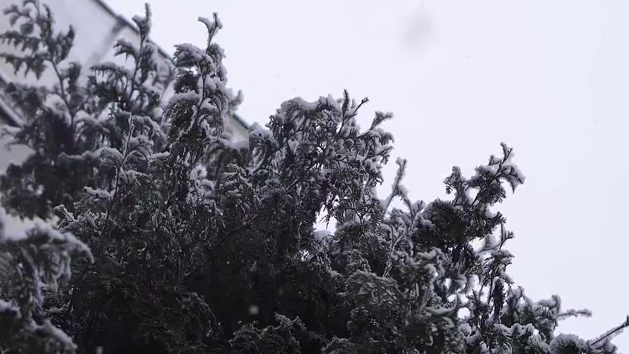 Сегодня в нашей стране отмечается День матери