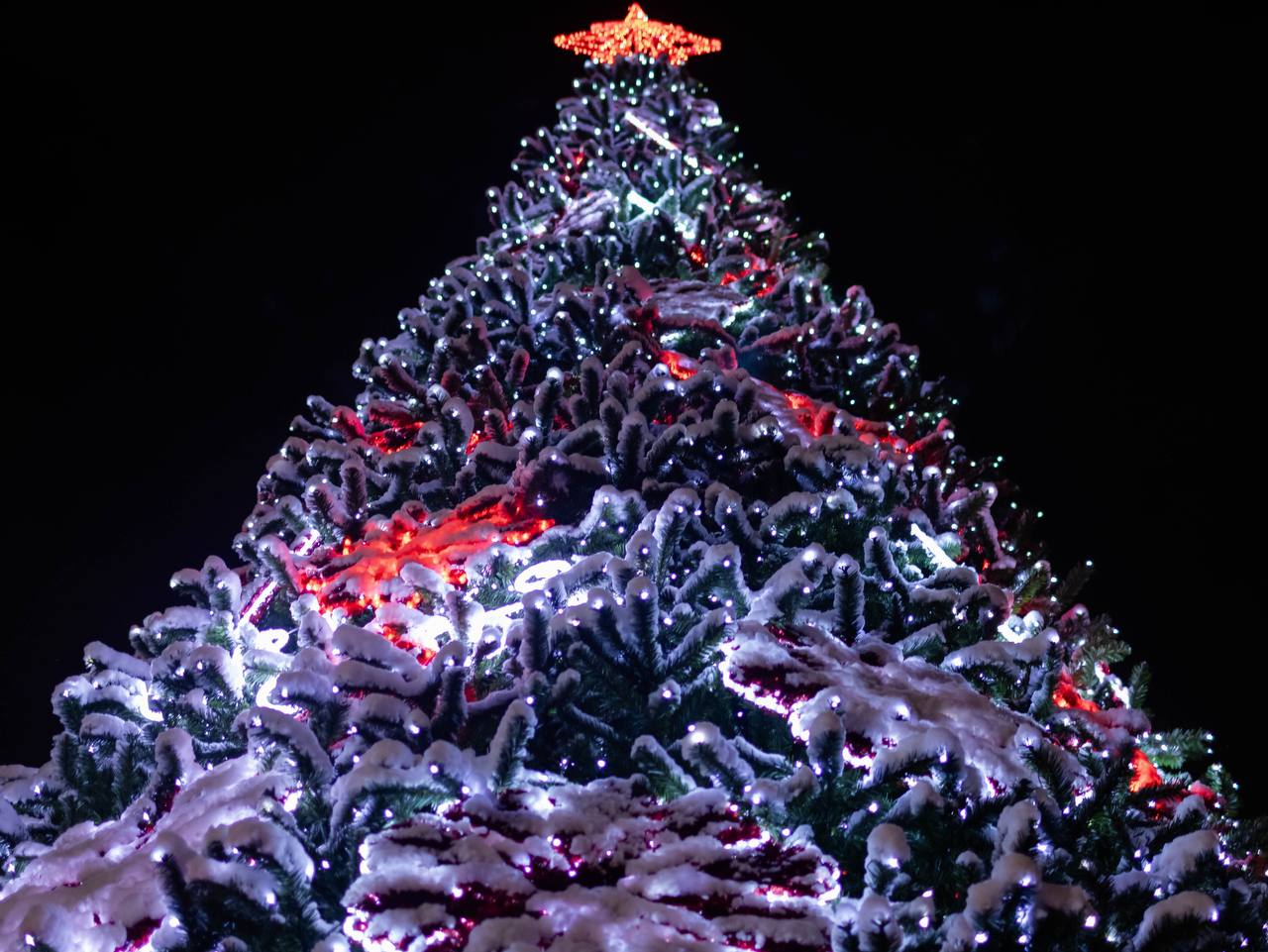 Александр Новиков: До Нового года остался всего месяц, и мы уже начали украшать Смоленск: на улицах появляются световые инсталляции, праздничные арт-объекты и, конечно, главный символ праздника — новогодние ёлки