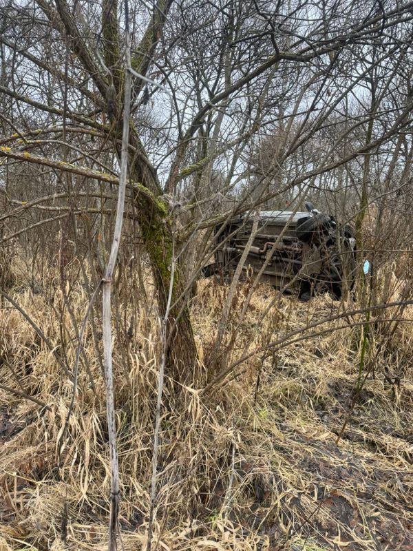 Сотрудники полиции работают на месте ДТП в Ярцевском муниципальном округе, в результате которого погиб водитель автомашины