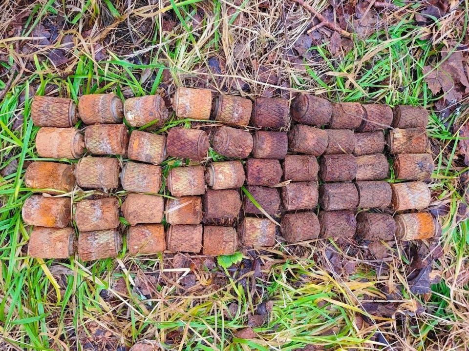 В регионе обезвредили ручные гранаты времён Великой Отечественной войны