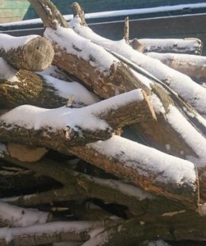 Выбор дров для отопления: что нужно знать