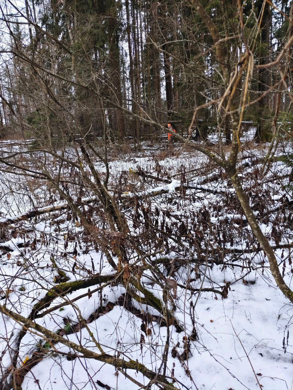 "Найдена. Погибла" "Сальвар" поделился трагической историей поисков пожилой женщины "Найдена. Погибла" "Сальвар" поделился трагической историей поисков пожилой женщины