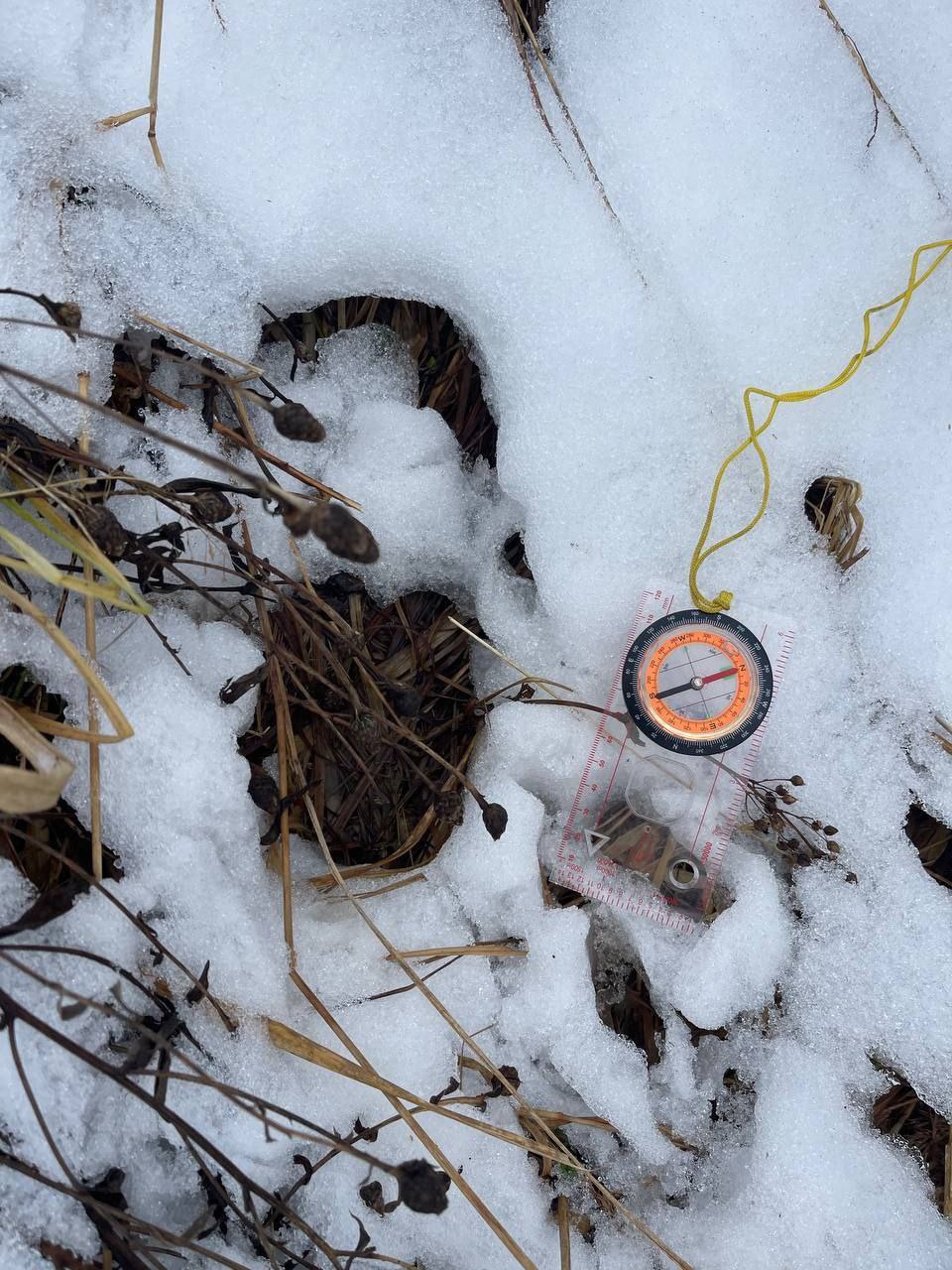 "Найдена. Погибла" "Сальвар" поделился трагической историей поисков пожилой женщины