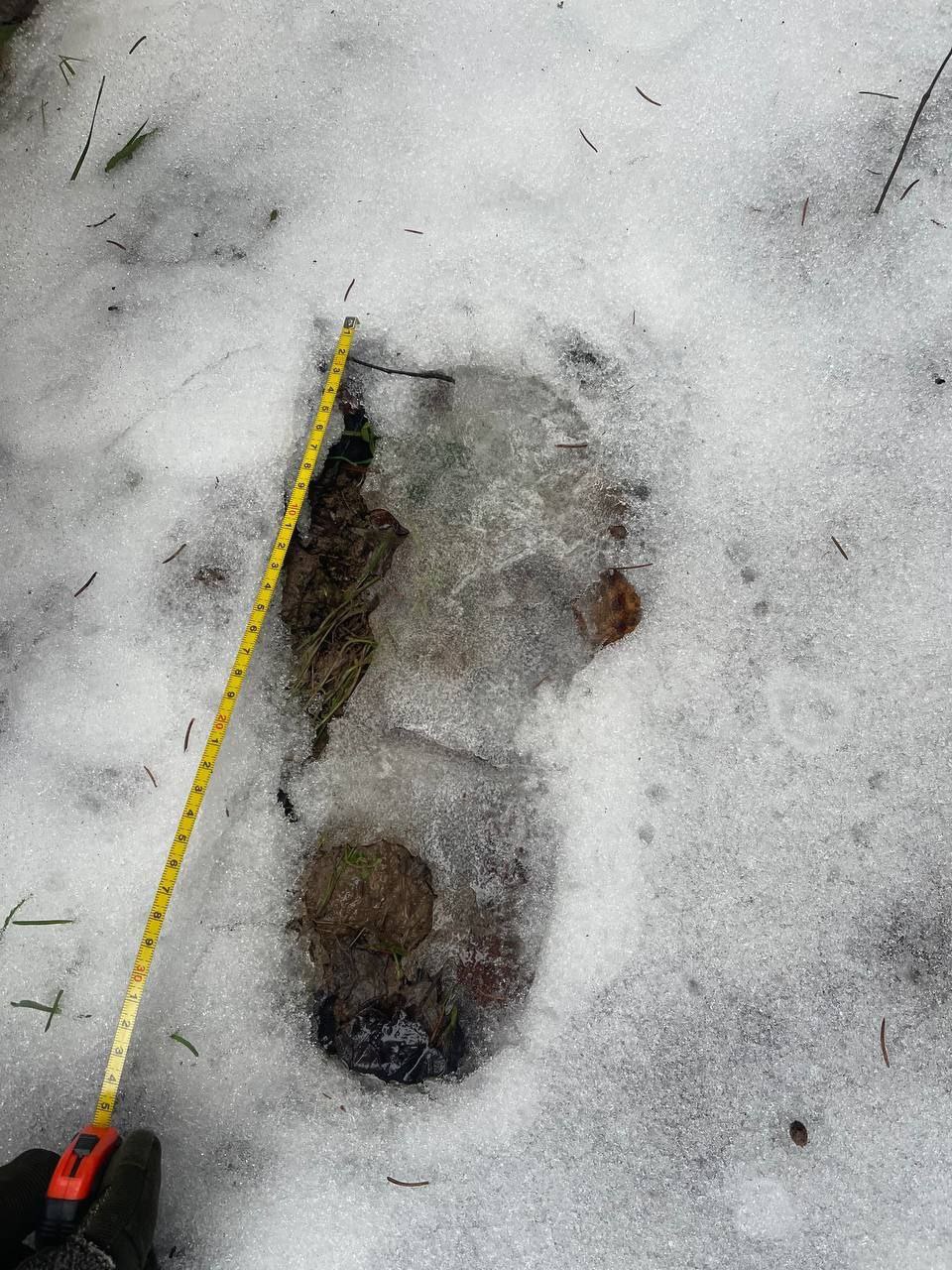 "Найдена. Погибла" "Сальвар" поделился трагической историей поисков пожилой женщины "Найдена. Погибла" "Сальвар" поделился трагической историей поисков пожилой женщины