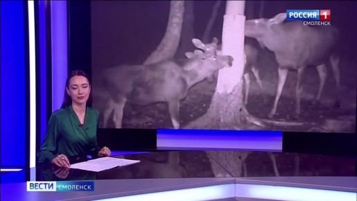 Вкусное и полезное лакомство для всей семьи сохатых