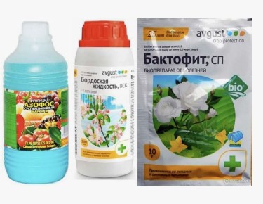 Фунгициды: необходимость или зло?