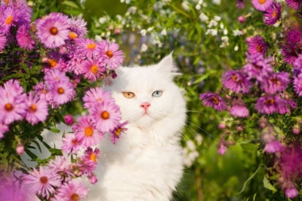 Секреты осеннего дачного уюта: как сохранить урожай и занять детей