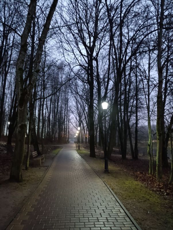 Прогнозы об аномально холодной зиме пока не сбываются