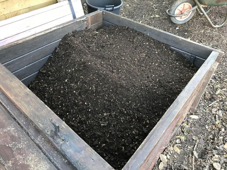 Как кола помогает ускорить процесс компостирования: необычный лайфхак для садоводов