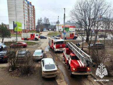 В Смоленске спасли двух человек из пожара на улице Шевченко