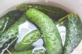 Хрустящие и невероятно аппетитные: как засолить огурцы за полчаса