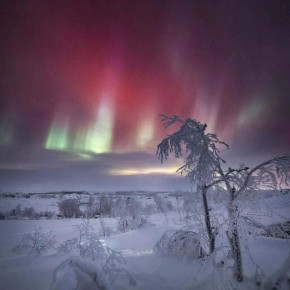 Вести с магнитных полей!. Вероятность магнитной бури 9 декабря достигает 96%