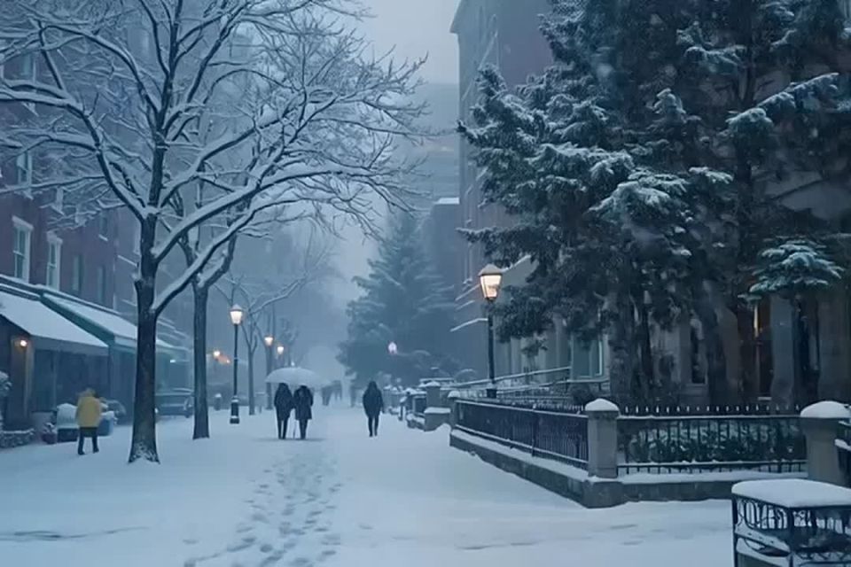 �������� ������� �������� (������)