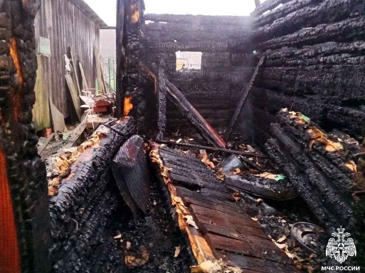 В деревне Плоское сгорел курятник с двенадцатью курами