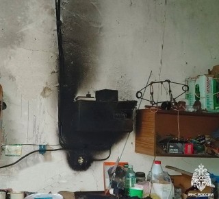 Смолянин самостоятельно предотвратил пожар в гараже