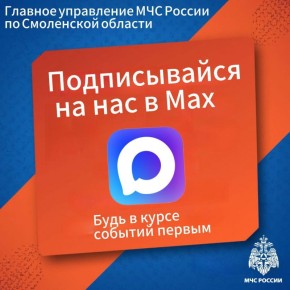Главное управление МЧС России по Смоленской области доступно в мессенджере MAX