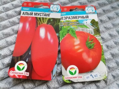 ������ ������: ����� ������ ������� ��� ������