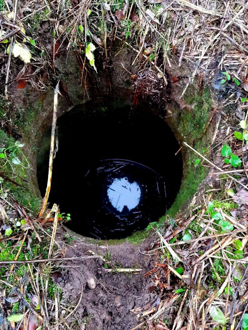 Смоленские спасатели вызволили собаку из колодца