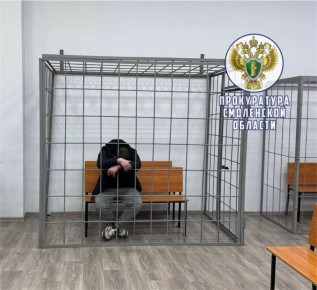 В Дорогобуже под стражу заключен подозреваемый в дорожной аварии, в результате которой погиб 16-летний подросток