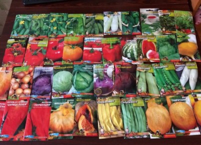 Почему стоит быть внимательнее с импортными семенами и гибридами