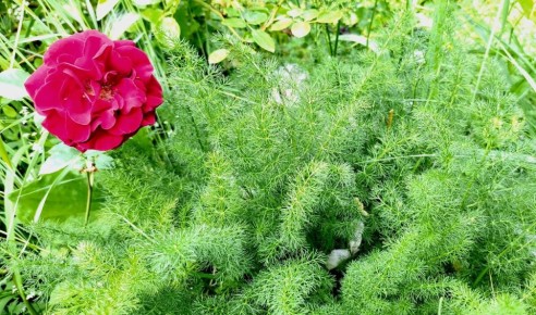 ���������� ����������� "�������� �����": ��������� ����� ��������� � �����������