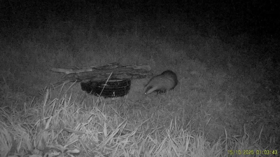 ������ ������ ������ � ������� � ���������