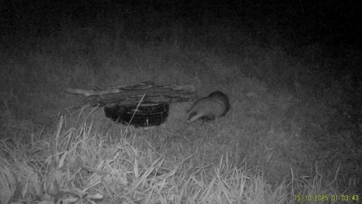 ������ ������ ������ � ������� � ���������