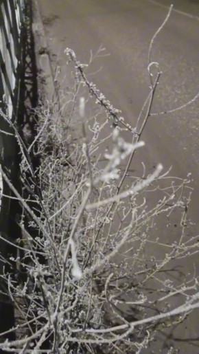 � ��������� ����� ��������� �������� ������