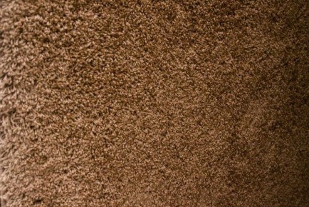 ��� ������� ���� �� ����� � �����, ����� �� �������� �� ������� �����: �������� ������� ������