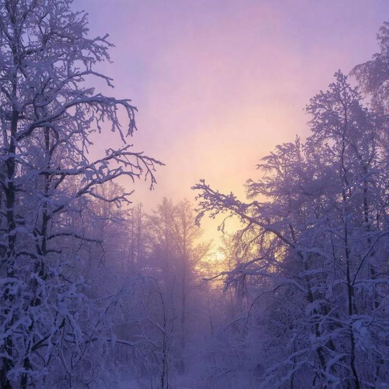 ������� ����� �������� ���� � 2025 ����