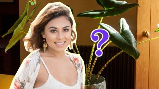 ����������� ������ ���������� ������: ����� � ����� �� �����������