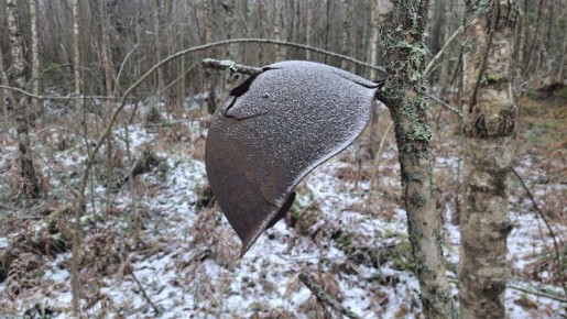 В Смоленской области подняты останки солдата Великой Отечественной войны
