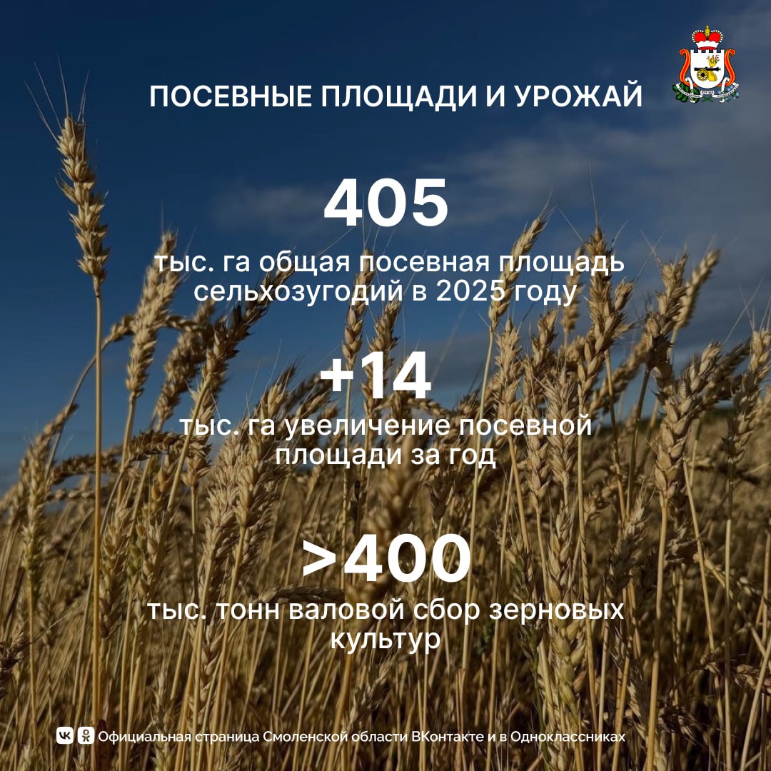 Смоленская область подводит итоги года в сельском хозяйстве