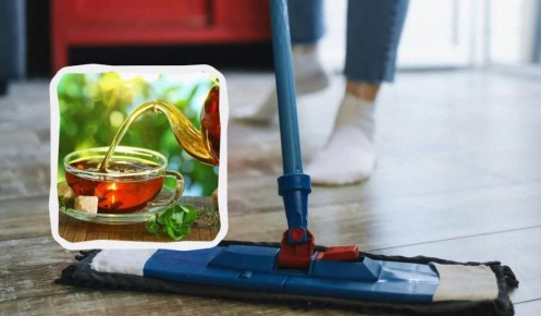 ����������: ������ ��� ������ �������� �������