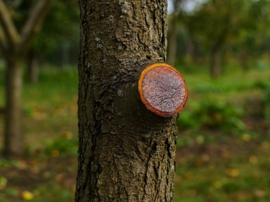 ��� ��� ������� ��������� ����� �� ������ �����