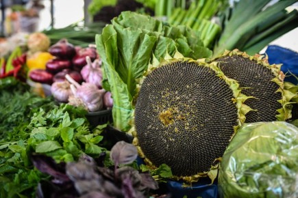 ������� ������: ������� ������ ���������� ������ ��������� � ������������ �������