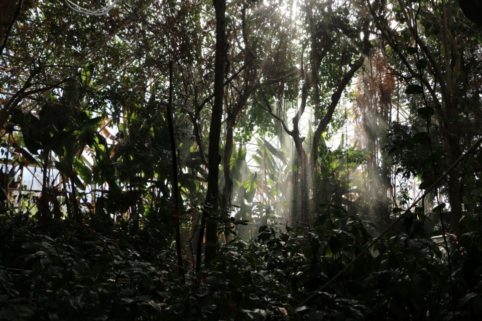 ������ ��� ���������� �������: ������ ��������� ���������� �� ������������