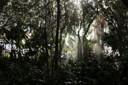 ������ ��� ���������� �������: ������ ��������� ���������� �� ������������