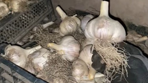 ������ ������: ��� �������� �������� �������� ��������� ������� ������