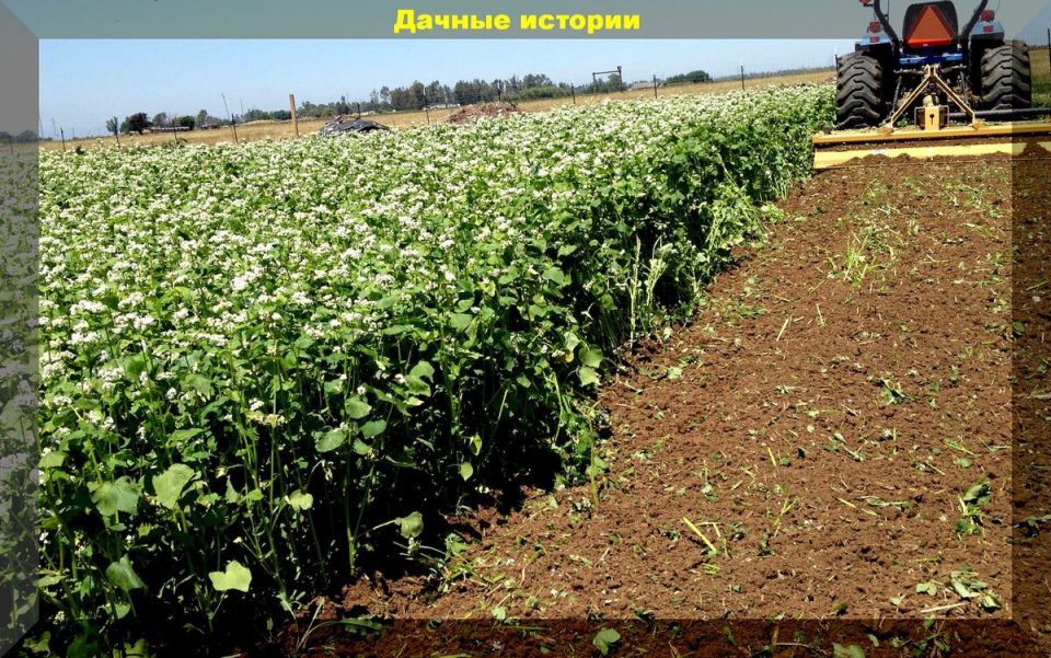 �������: ������� ������������� �������� ��� �������� ����� �����