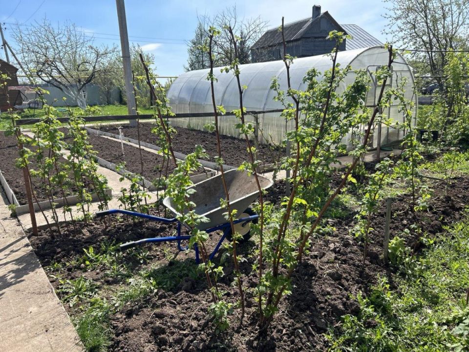 ������ �������� ����� ���� � ������� � ������ ���� ��� ������ ������?