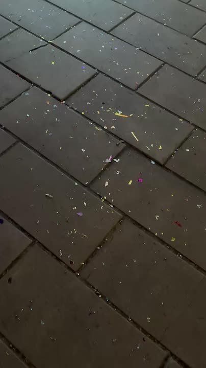 К голосованию за главную ёлку Смоленской области, которая представит наш регион на Всероссийском конкурсе «Елки России», подключился и город Смоленск