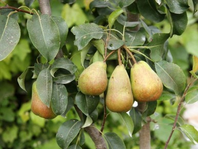 ������� ��������� ������� ���� � ����: ��� ���������� � ���������