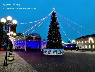 В Смоленской области выбирают главную новогоднюю ёлку региона
