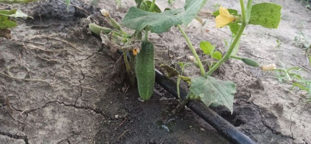 ��� �������� ������ ������� � ������� ���������� ������� �� 90-�